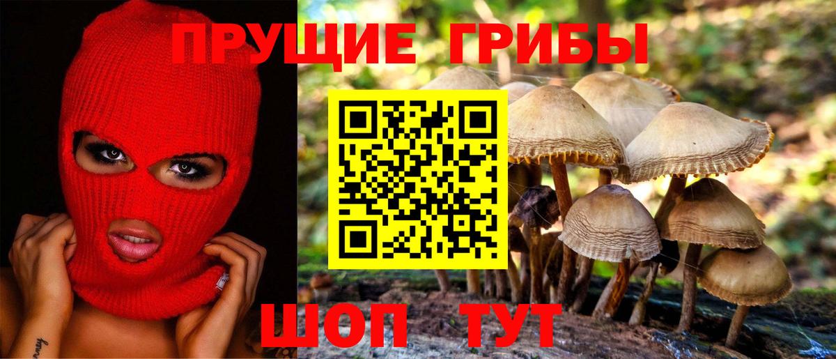 Владивосток  Галлюциногенные грибы мухоморы  Вход с VPN 